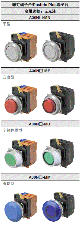 A30NN/A30NL 种类 2 